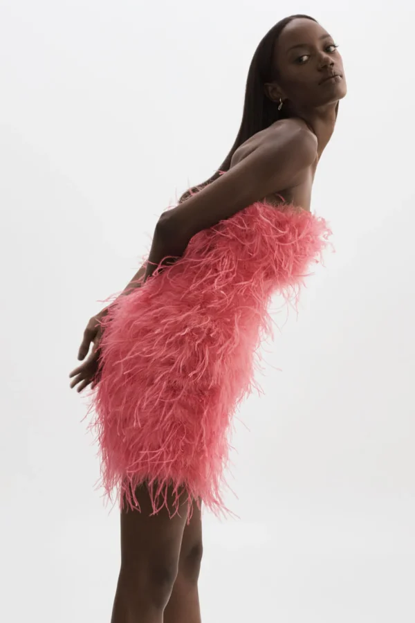 LAMARQUE Dresses | TRIANA | Feather Dress Rosie